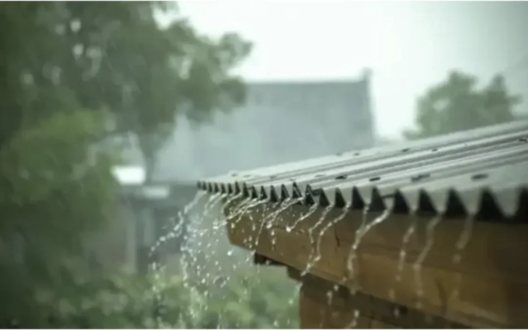 Gauteng Rain Season and Borehole Water: Why Your Water Changes After Storms