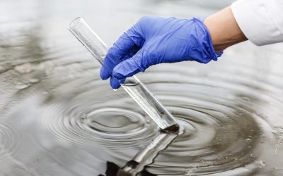 Wastewater and Effluent Testing: Understand what is Entering, Moving through, and Leaving your System